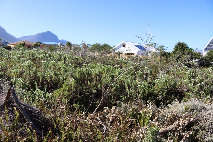 0 Bedroom Property for Sale in Bettys Bay Western Cape